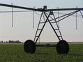 #5: View to the east showing wheels of center pivot irrigation unit.