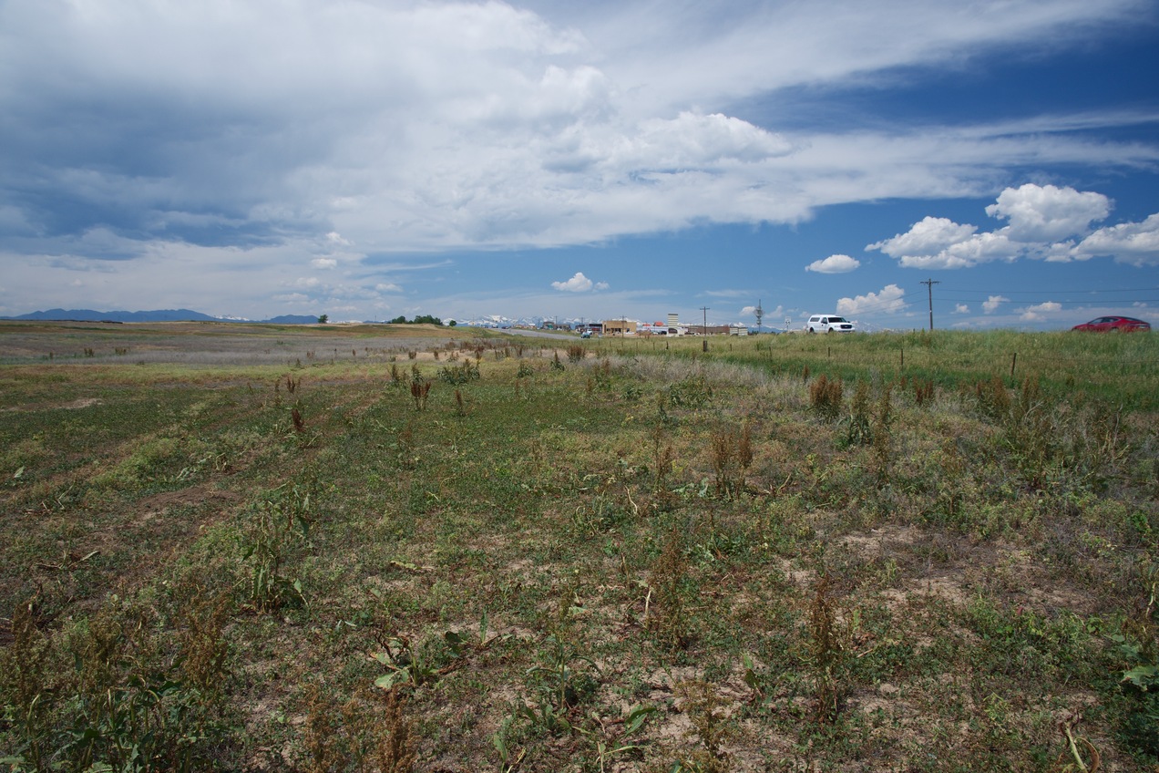 The confluence point lies in an open field, next to Colorado State Highway 7.  (This is also a view to the West, towards the Rocky Mountains.)