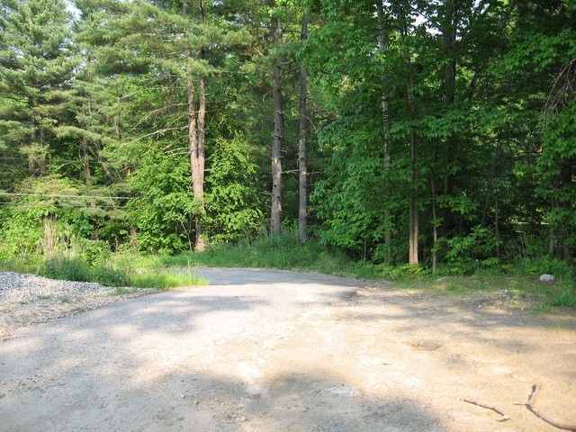 Looking east toward the top of the driveway.