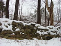 #9: An old stone wall below the hill east of 42N 72W
