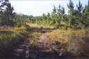 #3: Fire trail to the site