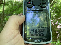 #6: GPS reading at the confluence point. 
