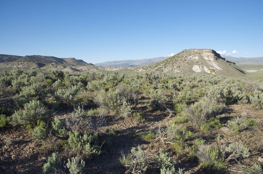 The confluence point lies atop a sagebrush-covered ridge.  (This is also a view to the North.)