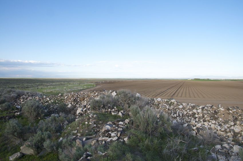 Looking east from near the confluence point, we can see how the area nearby has been cleared for farming 