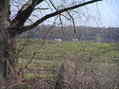 #8: View across the floodplain to the Illinois bluffs from the confluence.