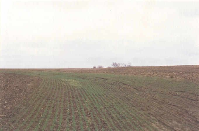 The view east from the confluence, looking toward the Leinberger Rd farm.