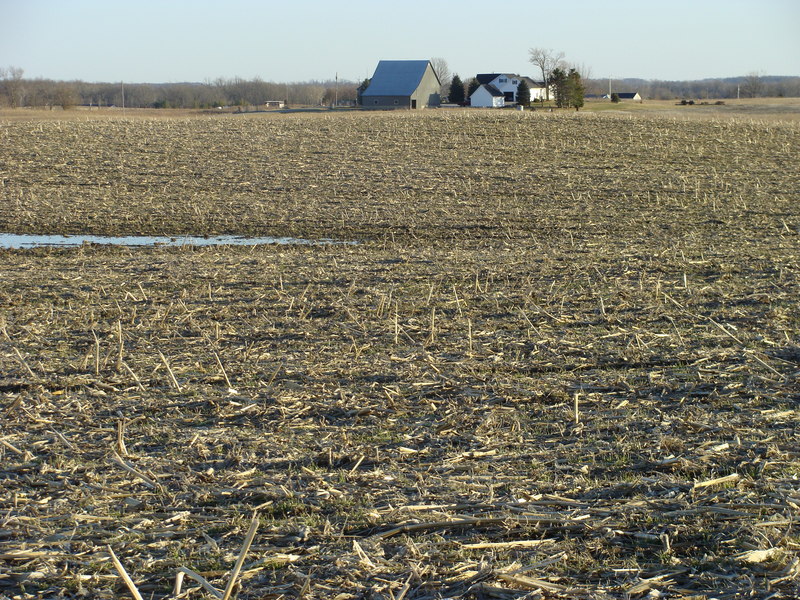 A sunny later winter afternoon in east central Indiana.
