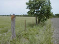 #6: Looking east along the fence line.