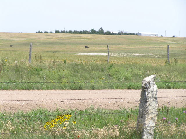 View to the north along the 100th Meridian from the 38th Parallel.