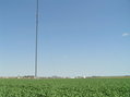 #6: The most prominent feature near the confluence:  The radio tower is clearly visible in this view to the northwest from the site.