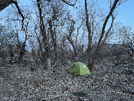#10: Tent pitched exactly upon the 100°W meridian in Buckner Valley Park