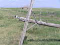 #9: Abandoned dreams and fallen pole, 1 km north of confluence.