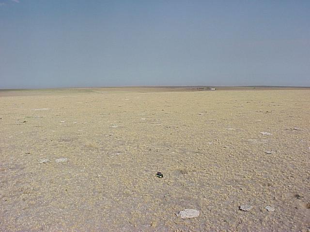 Confluence site with GPS receiver on ground, looking west.