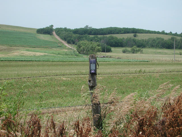 Fence post at the confluence; state-line road in background