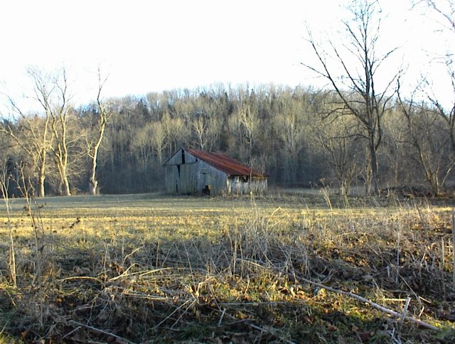 An abandoned barn just west of the confluence point