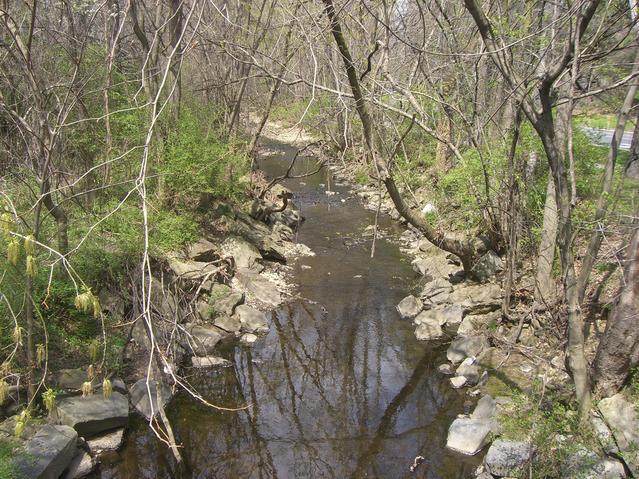 Sligo Creek