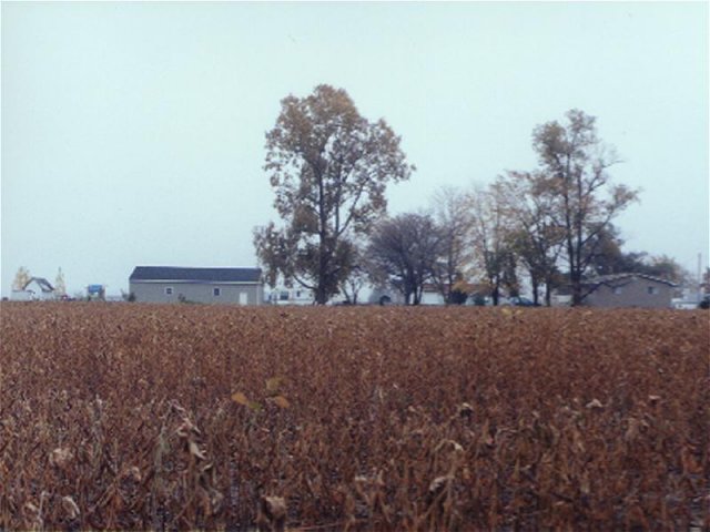 A home along the eastern edge of the field