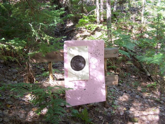 A target seen along the path.