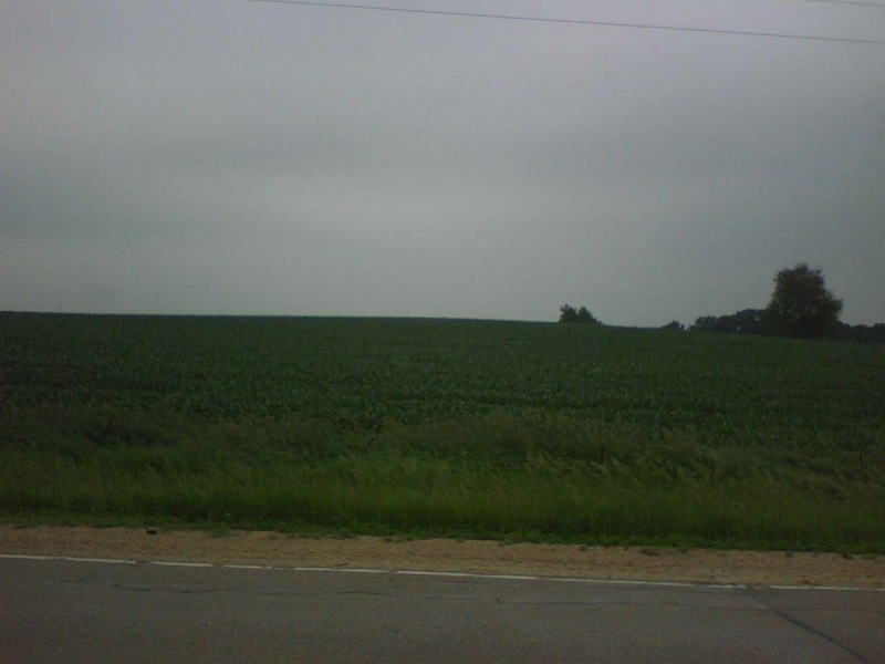Looking north into another corn field across the road