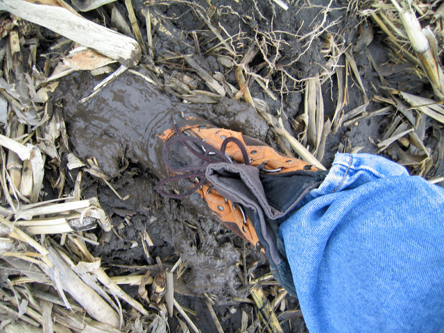 Muddy conditions at the zeropoint