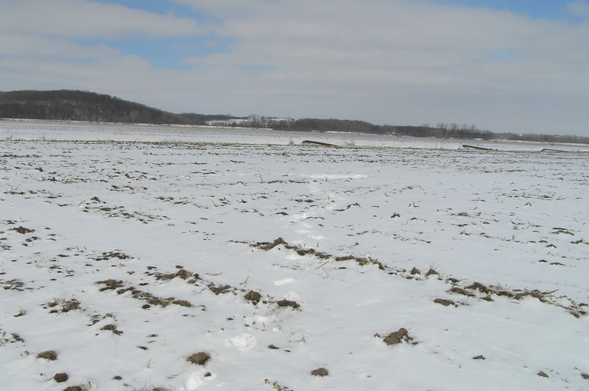 Site of 40 North 95 West, in the mid-distance, seen in the cluster of footprints in the snow, looking northeast.