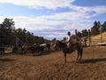#6: Rancher Dave Bliss working with his horses