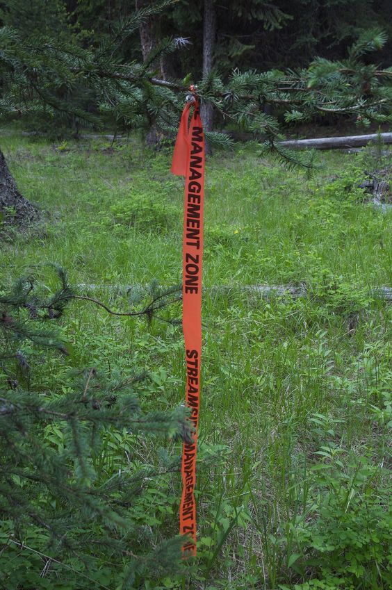 Several of the trees near the confluence point were marked with these plastic flags 