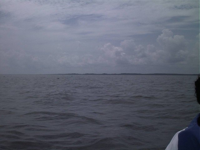 The southern shore of the Albemarle Sound.