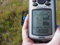 #3: GPS receiver and field grasses at confluence.
