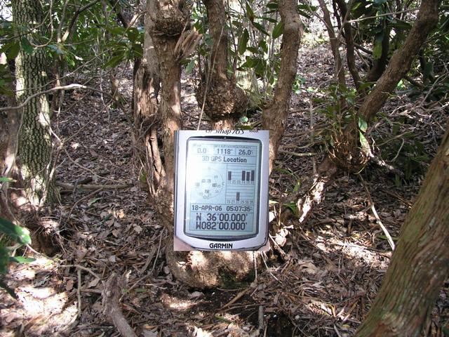 Less than 20 feet from a fresh road cut, the GPS zeroed out under a cover of leaves.