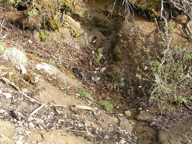 The nearby picturesque mountain spring photographed in 2001 is now a PVC pipe at the edge of a road cut.