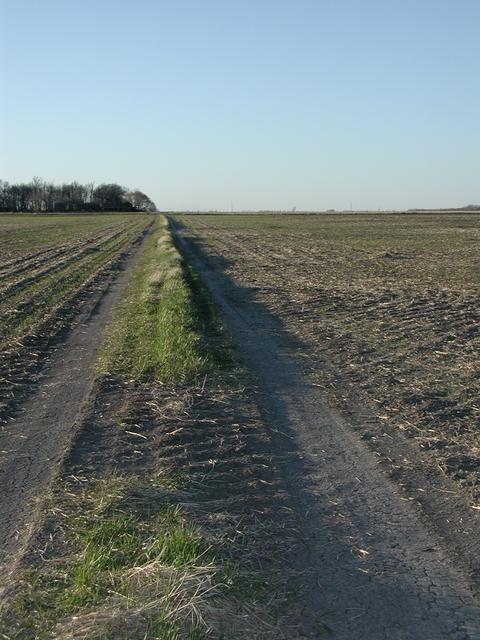 Last stretch of tracks to confluence (facing away from confluence towards gravel road)