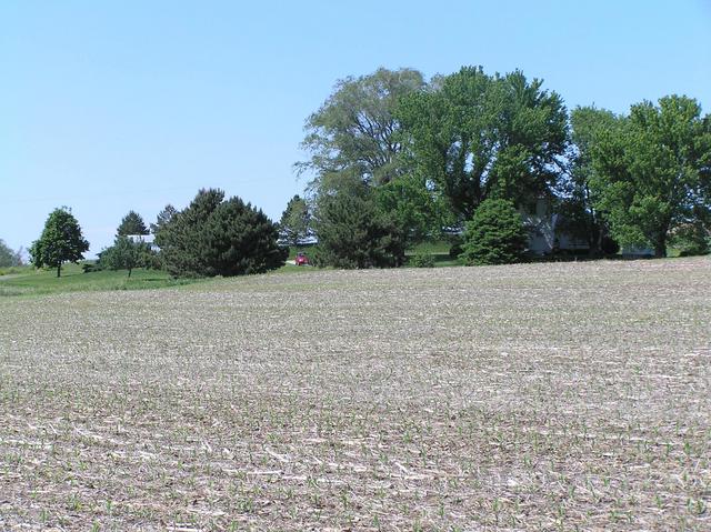 View to the north from the confluence and the nearest farmhouse.