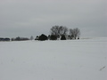 #2: Looking north at the farm house