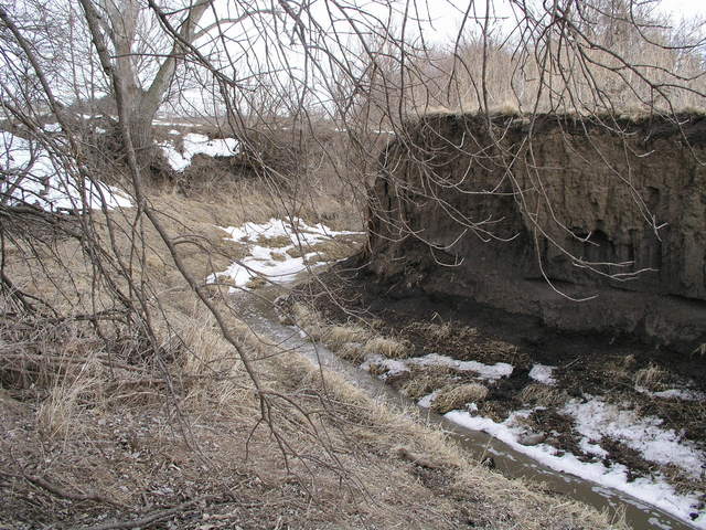 Close-up view of the stream south of 41N 96W.