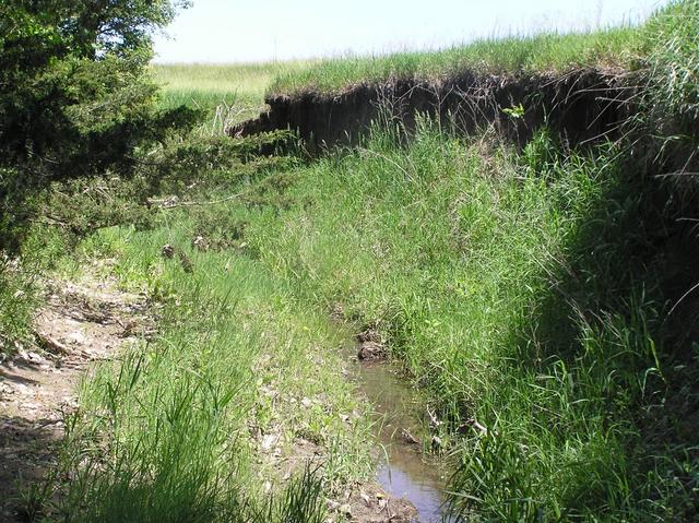 Gully about 80 meters west of the confluence, looking north.
