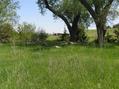 #7: Looking north-northeast at the landowner's tractor, 130 meters west of the confluence.