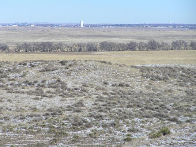 View to the northeast from the top of the hill that the confluence sits on, showing the community of Alliance, Nebraska.  The line of trees in the mid-distance indicates the starting point for the hike.