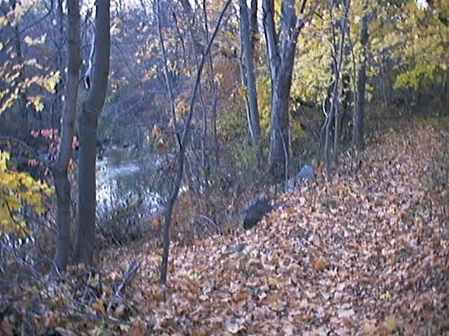 A path on the north bank of the Hackensack River.