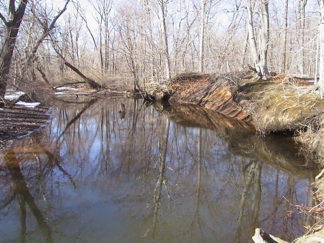 Hackensack River west of the confluence