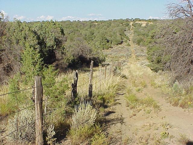 View to the east along the state line, 40 meters southeast of the confluence, Colorado on left, New Mexico on right.