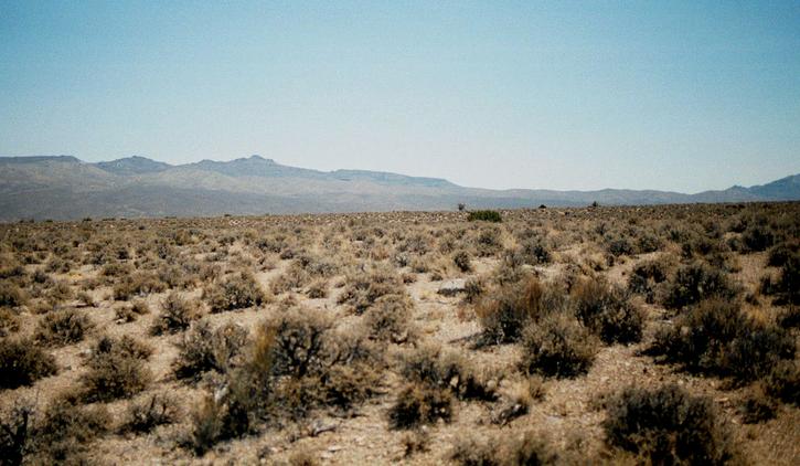 Looking east back towards NV 38.