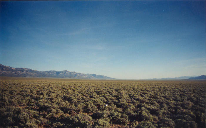 Looking south with the Egan Range on the left and the White Pine Range on the right.