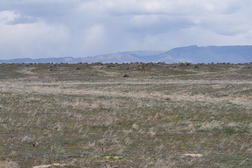 View North (towards the Owyhee Bluffs)