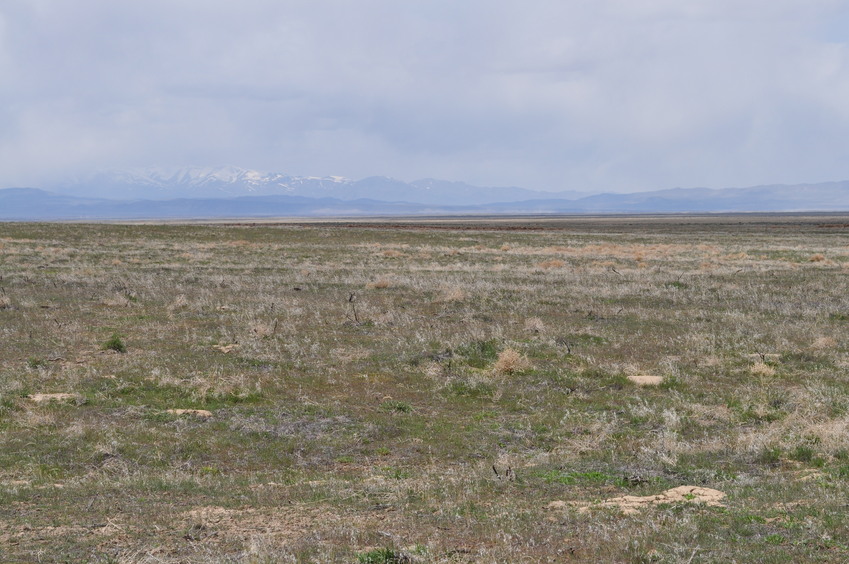 View West (towards the Osgood Mountains and Santa Rosa Range)