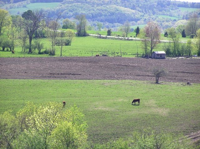 Farmland scene in New York