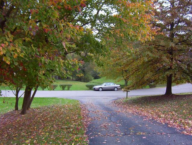 View east down the driveway of 201 Skyline Dr.