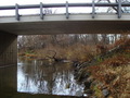 #4: Looking south under the circa 2005 bridge over Riley Creek.
