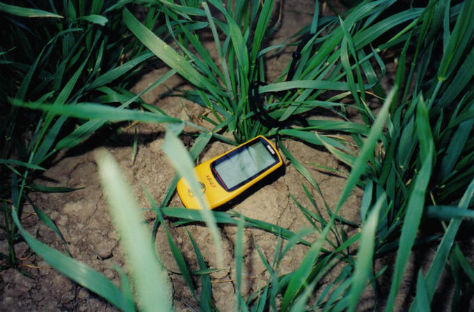 Still life with green wheat and GPS