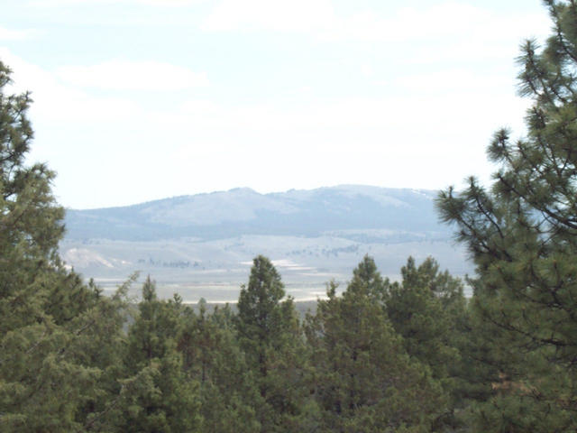 Looking East from confluence point.